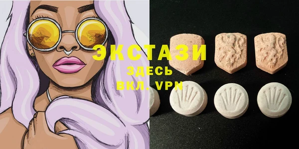 ECSTASY Богородск